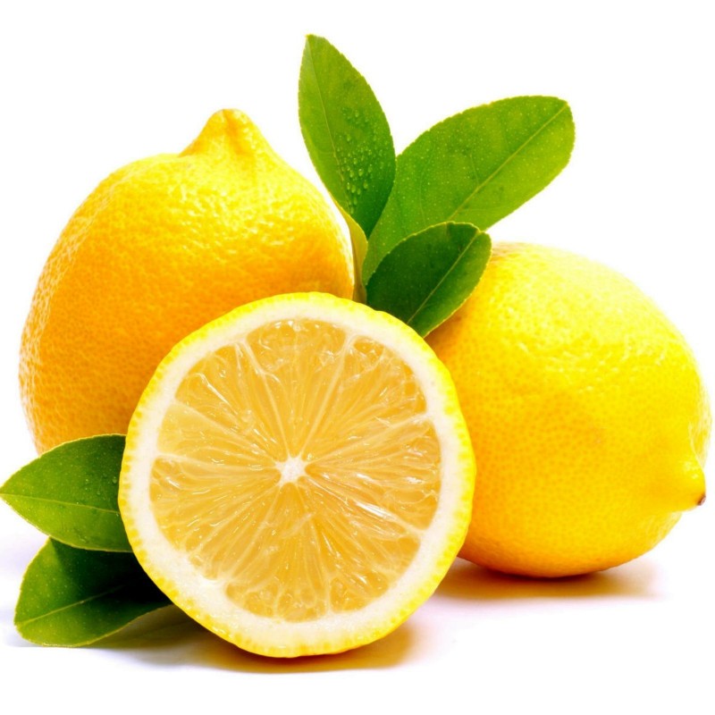 Apt Vorm van het schip Verpletteren Citroen Zaden (vrucht) (Citrus × limon) - Prijs: €1.95